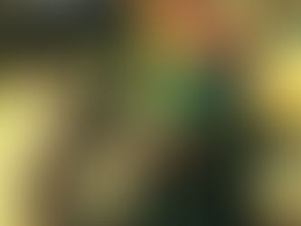 Review of A Beast Slinks Towards Beijing by Alice Evelyn Yang