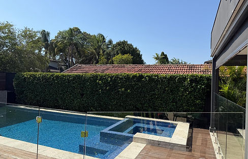 WhatsApp Image 2026-02-03 at 5.11.27 PM.jpeg