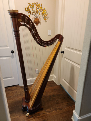 Mint Condition Lyon and Healy Prelude Lever Harp for Sale
