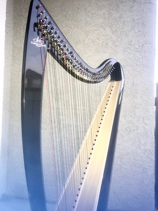 Ulysse Camac for sale!