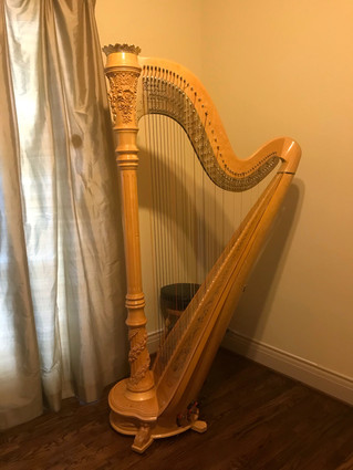 Venus Concert Grand #75 for Sale