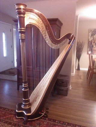 Venus Prodigy for rent