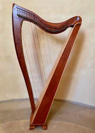 Dusty Strings FH36B
