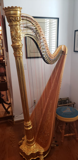 Lyon and Healy Style 23 for sale