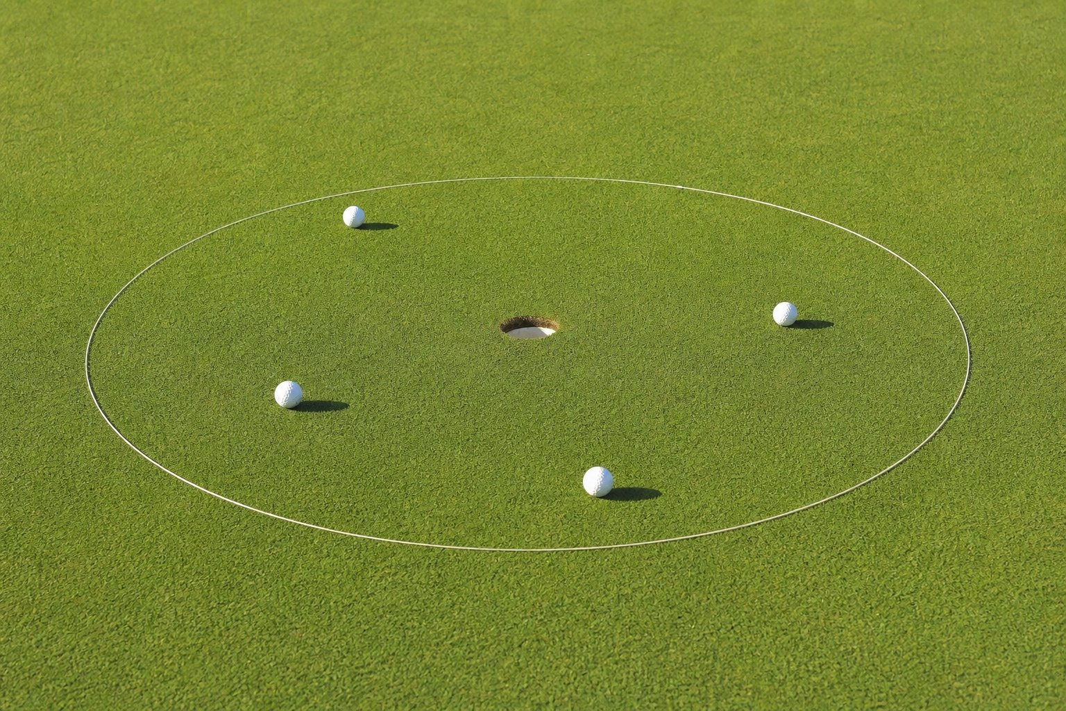 4' eGolfRing