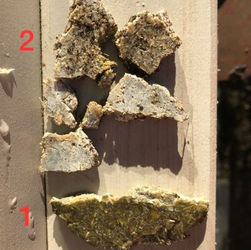 Evolution biodegradability