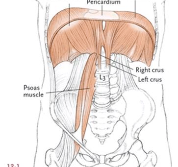 Is your Diaphragm Holding you Back?