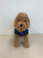 000000000097_1_avFuDgk_thumb.jfif