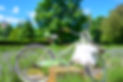 Bike Crop 1.jpg
