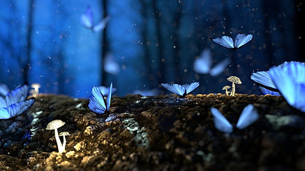 Image par Игорь Левченко de Pixabay.jpg