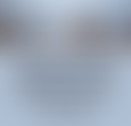 Mindset Reality Check on Motivation