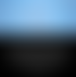 Mindset Reality Check On Leadership