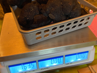 Infos trufficoles novembre 2025