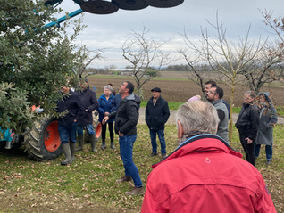 Informations trufficoles janvier 2026