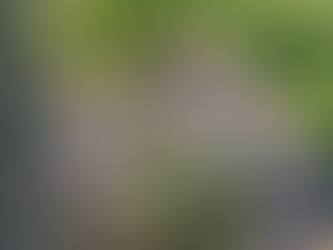 Membres : informations trufficoles juin 2025