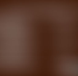 Semaine de la Truffe en Albret du 10   au 18 Janvier