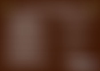 Semaine de la Truffe en Albret du 10   au 18 Janvier