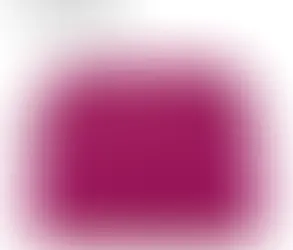 エルメス ボリードポーチ15