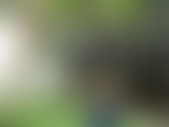 דרך האמן שלי