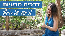 דרכים טבעיות לריפוי של הגוף