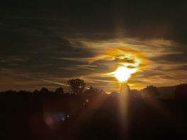 January Art Exhibits