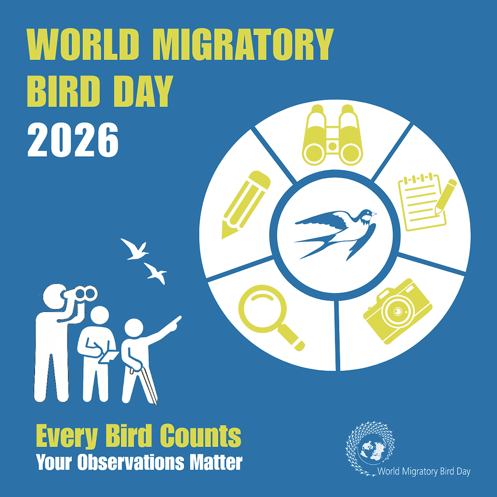 Wild Migratory Bird Day