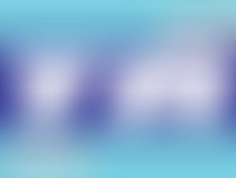 FYAトレーニングレース