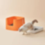 Thumbnail: Cat stepping into orange high-wall litter box