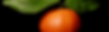 single_clementine_edited.jpg