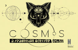 Cosmos Poster C