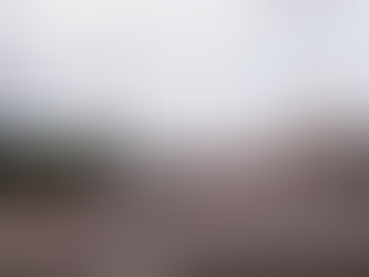 That’s a Lot of Sandwich Restaurants