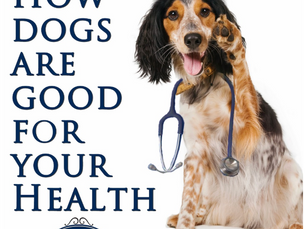 Owning a dog can benefit many in significant ways