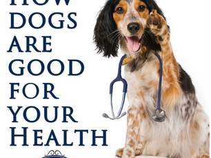Owning a dog can benefit many in significant ways