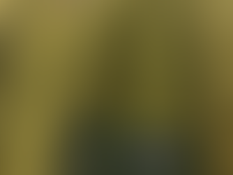 The Cult of Patagonia