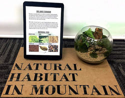 MINI NATURE < PRESENTATION DAY >