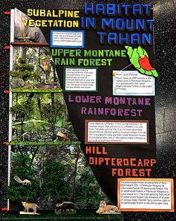 BOARD 1