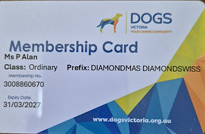 Dogs vic membership.jpg