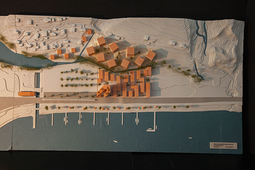 stage 1 expansion