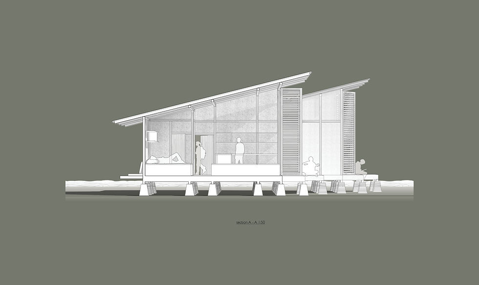 section