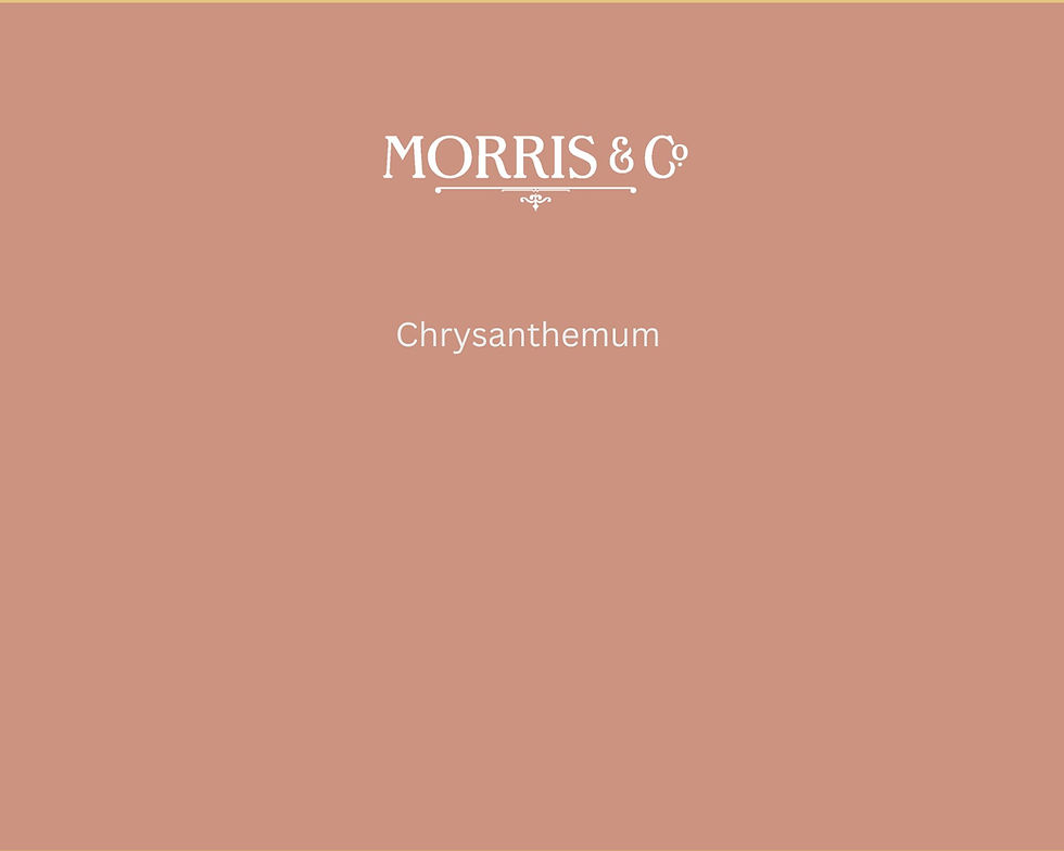 Morris & Co. Chrysanthemum Paint Swatch - Pure Paint