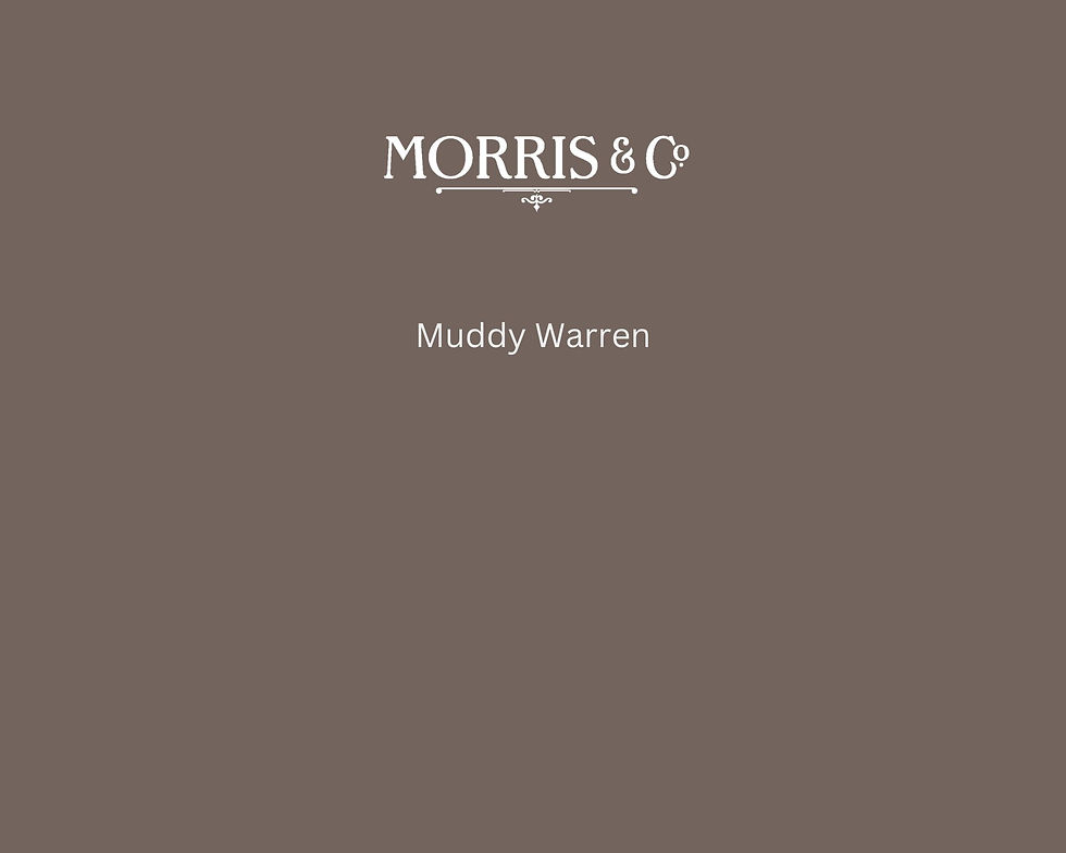 Morris & Co Muddy Warren Paint Swatch - Pure Paint
