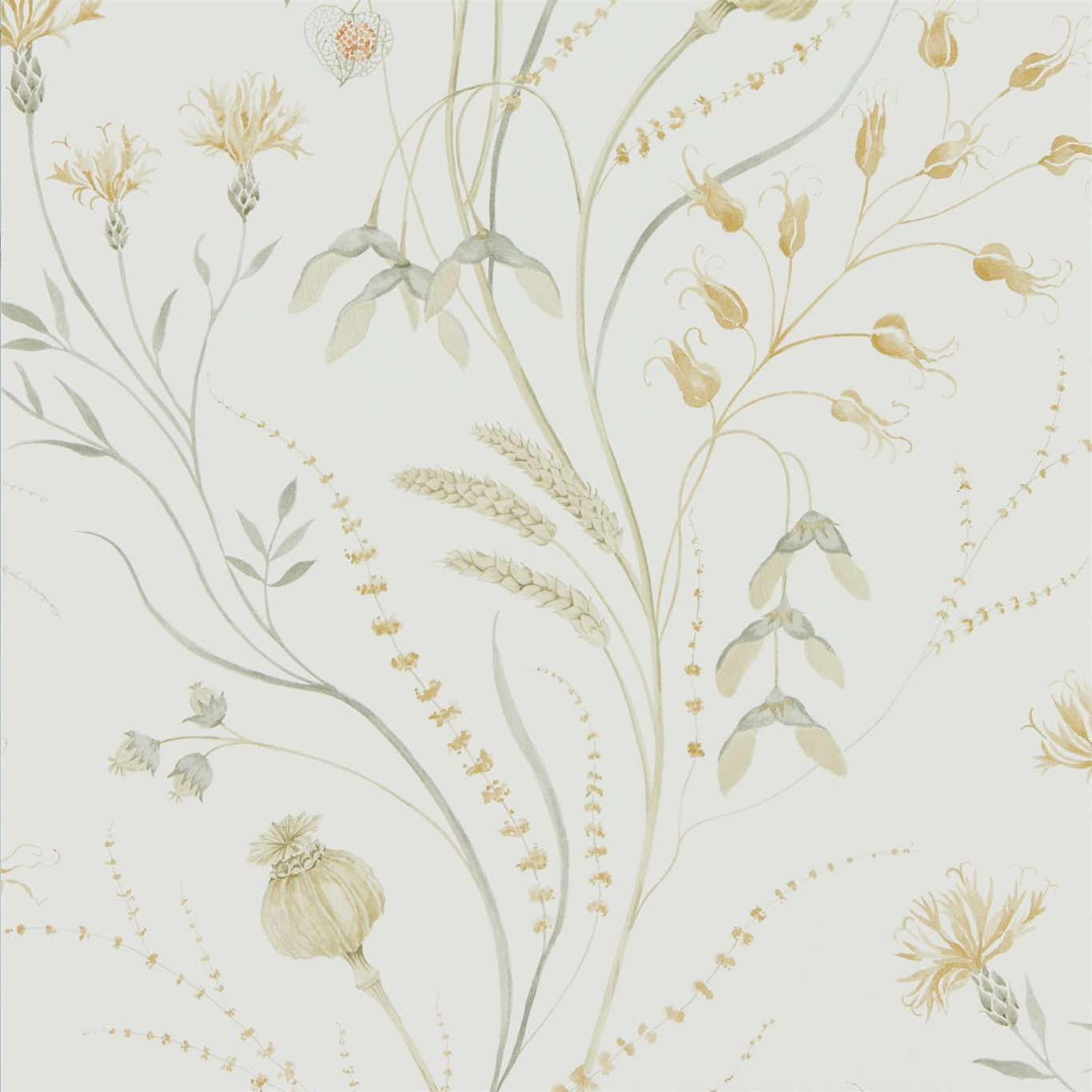 Summer Harvest Wallpaper – Silver Corn Colourway
