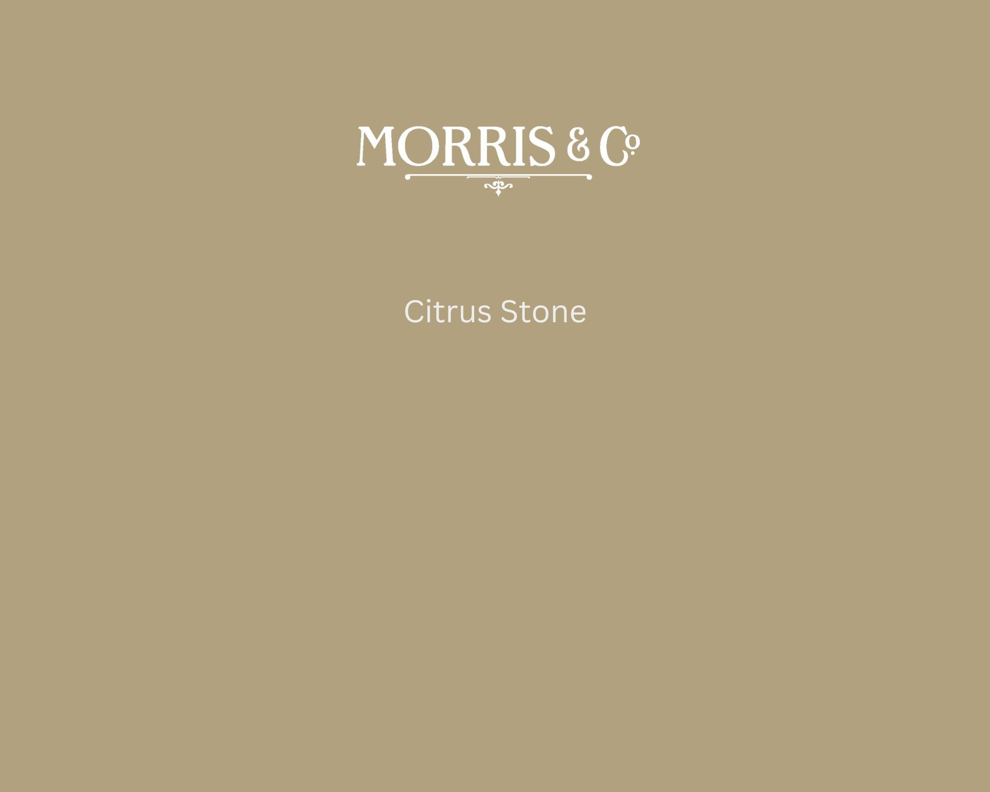 Morris & Co. Citrus Stone Paint Swatch - Pure Paint