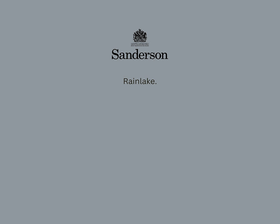 Sanderson Rainlake Paint Swatch - Pure Paint