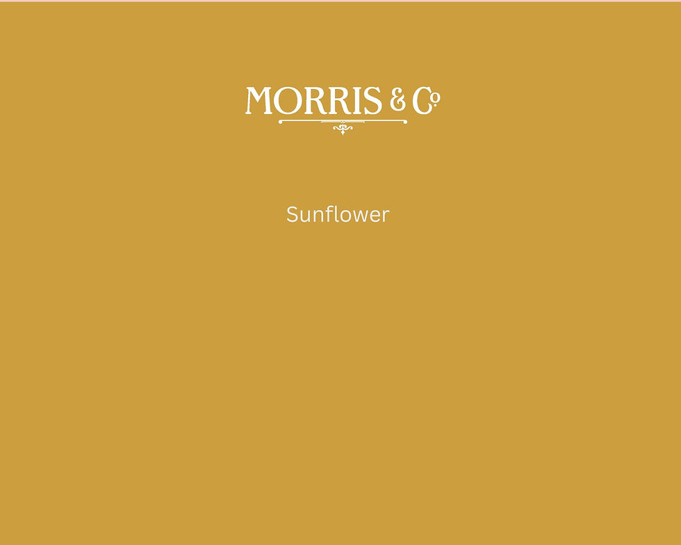Morris & Co. Sunflower Paint Swatch - Pure Paint