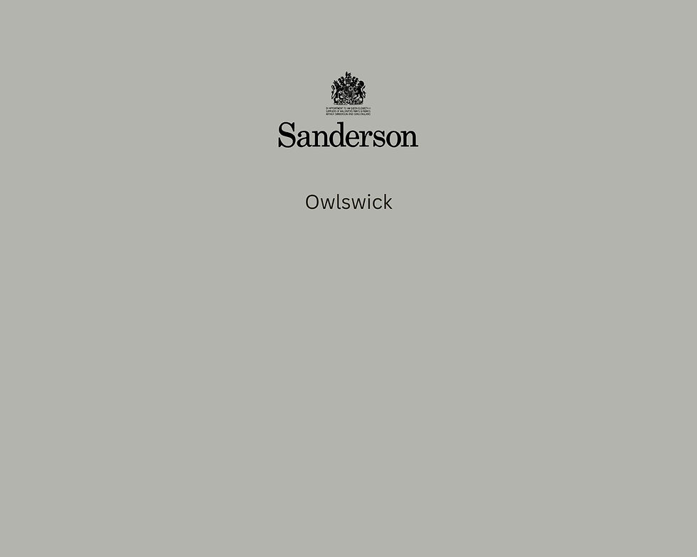 Sanderson Owlswick Paint Swatch - Pure Paint