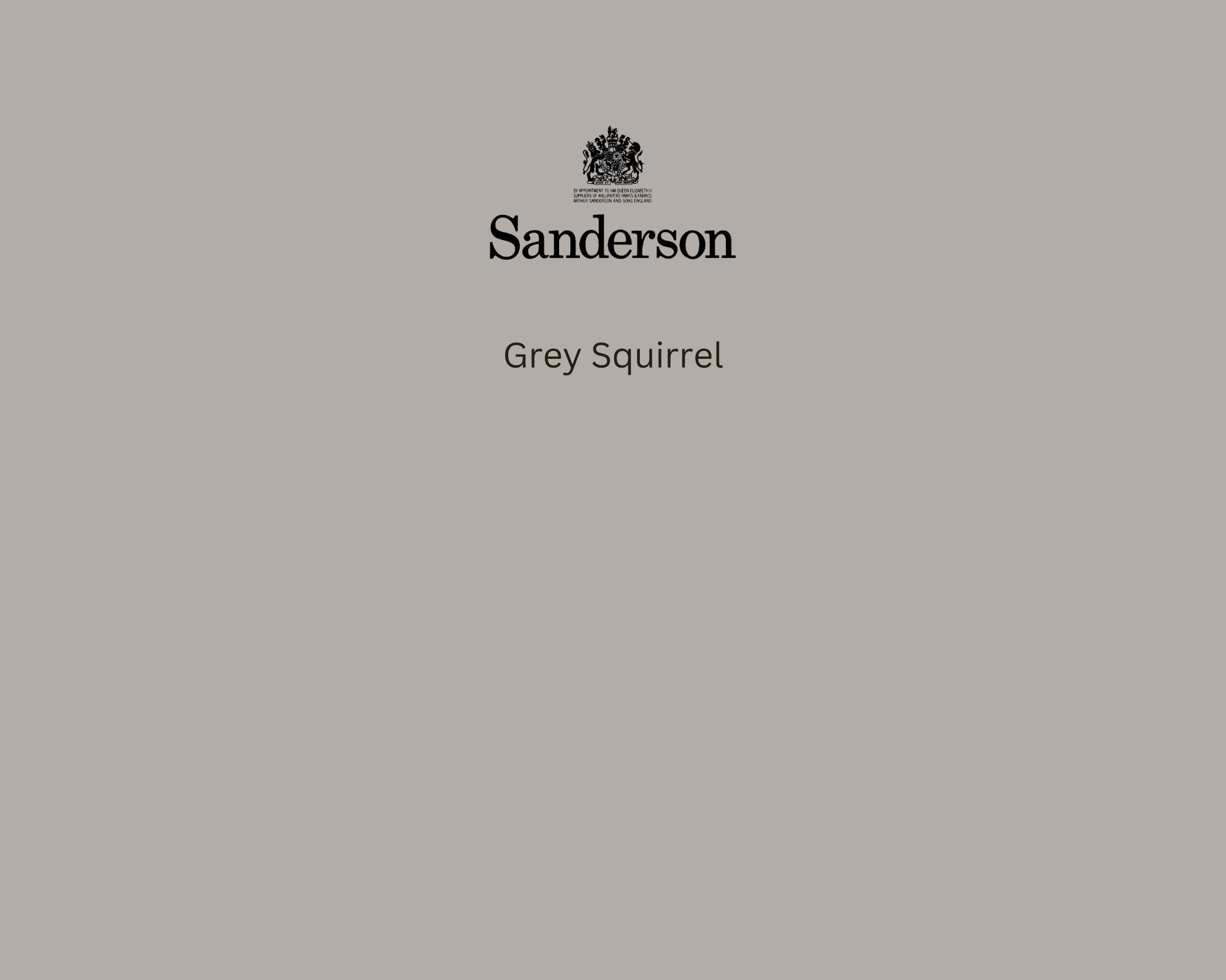 Sanderson Grey Squirrel Paint Swatch - Pure Paint