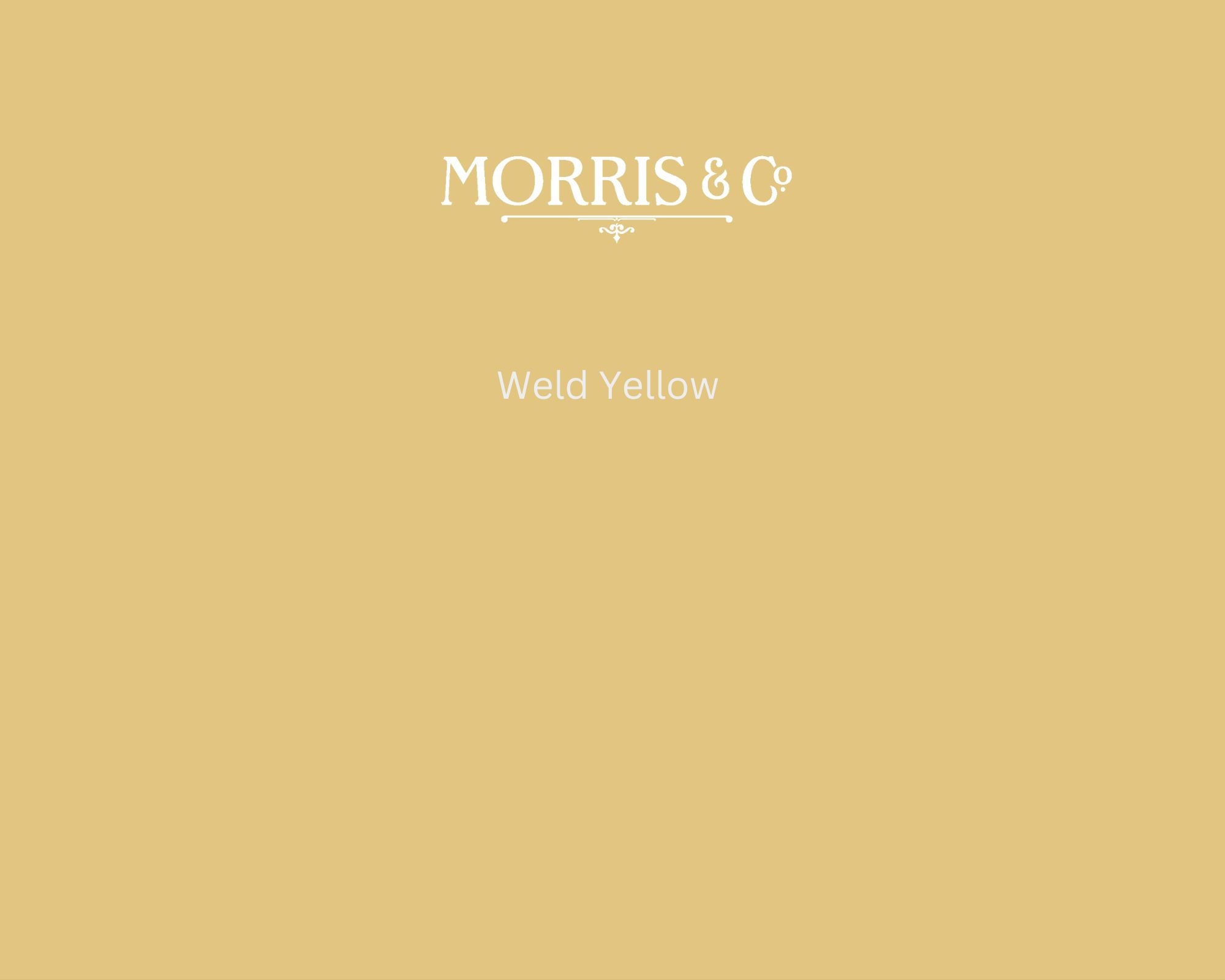 Morris & Co Weld Yellow Paint Swatch - Pure Paint
