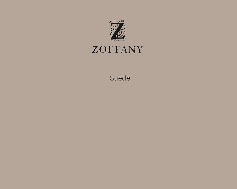 Zoffany Suede Paint Swatch - Pure Paint