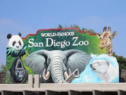 MY EXTRAORDINARY JOB AT THE SAN DIEGO ZOO